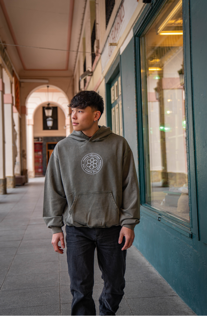 PARVIS FAIR HOODIE