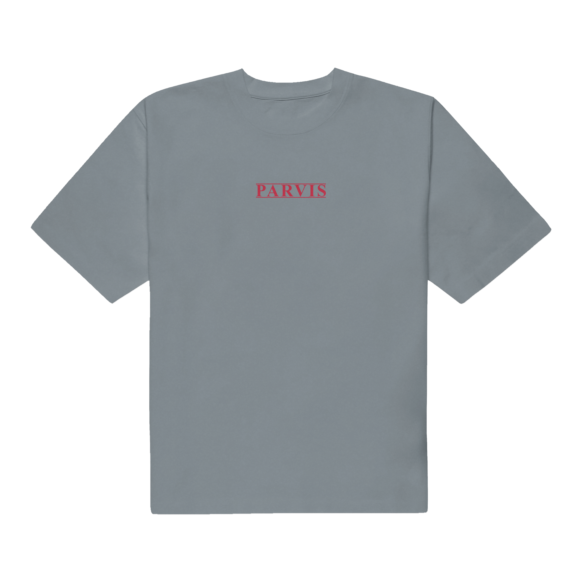 CAMISETA GRIS DENIM PARVIS - THE FIRST